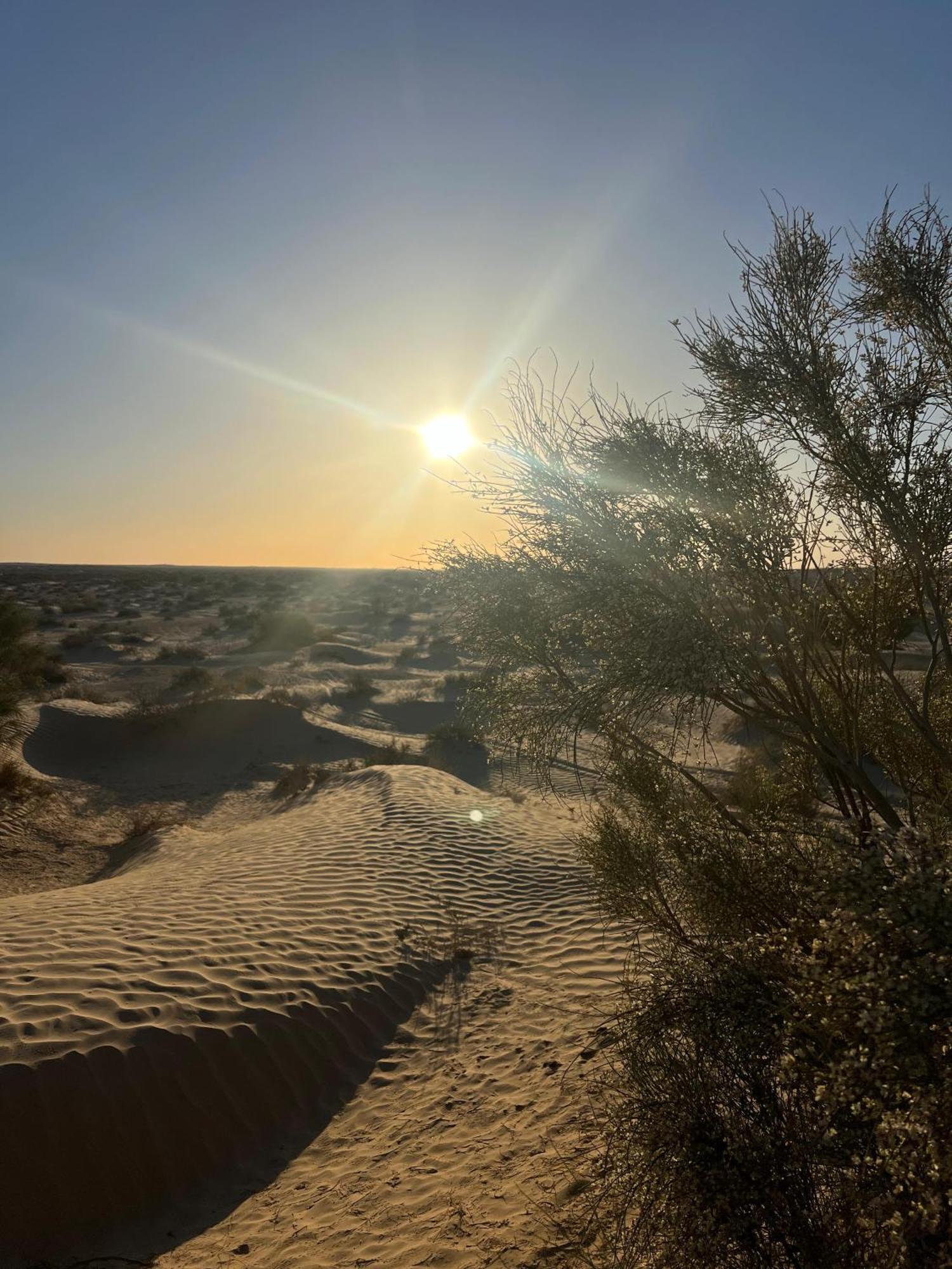 מלון Private Camp25Km-From דוז מראה חיצוני תמונה