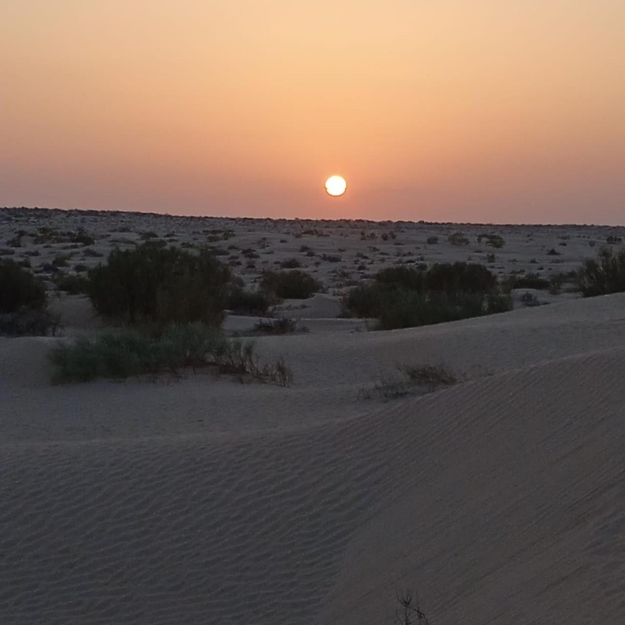 מלון Private Camp25Km-From דוז מראה חיצוני תמונה